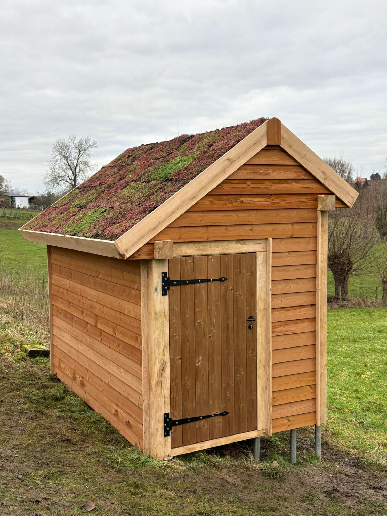 Bijenhotel met houten constructie en sedumdak