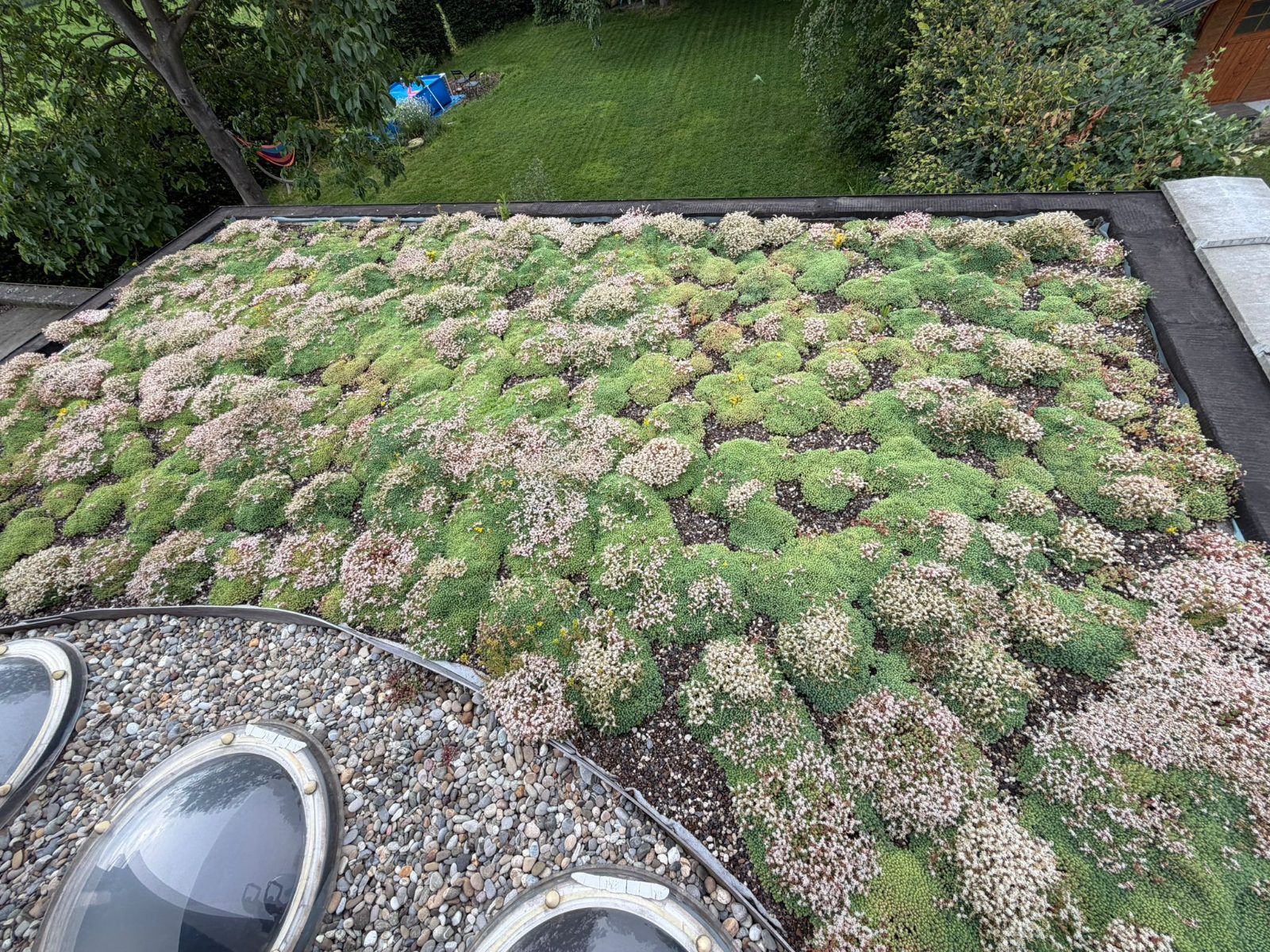 Complete kit show model with sedum roof