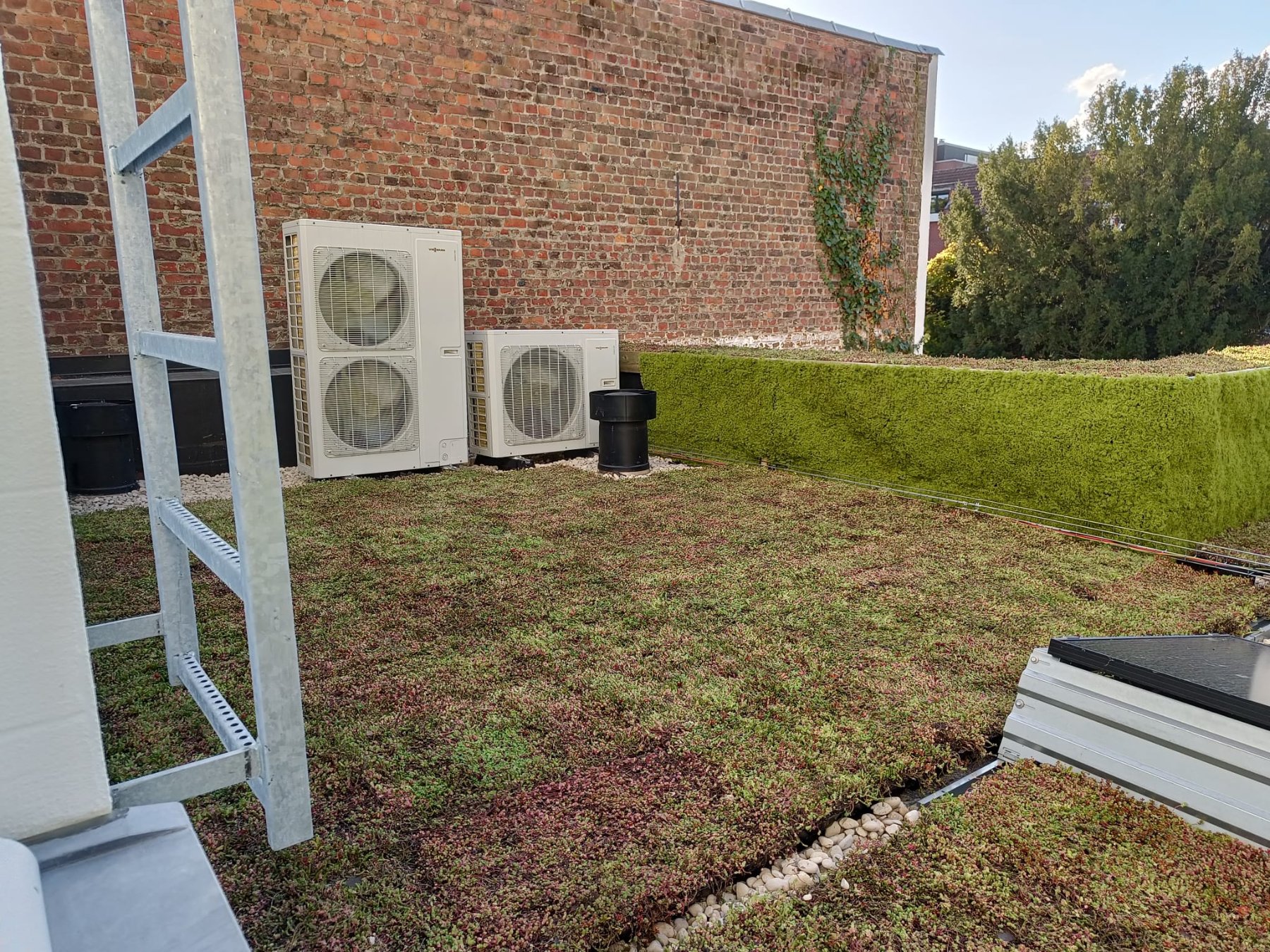 Groene wanden rond een dakterras