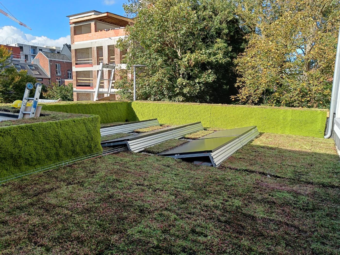 Green roof with green wall and solar