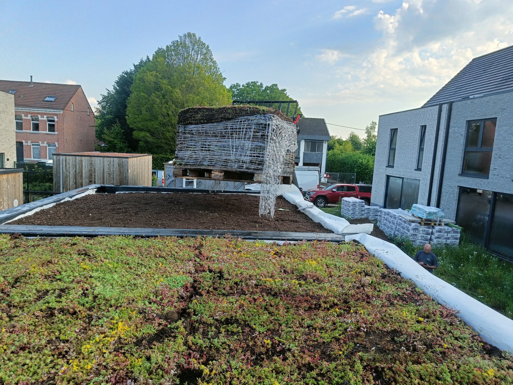 Sedummatten op een tuinberging