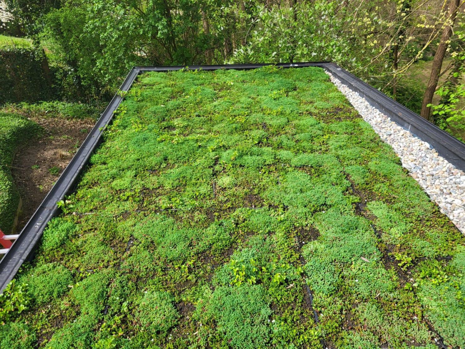 Lightweight sedum tiles