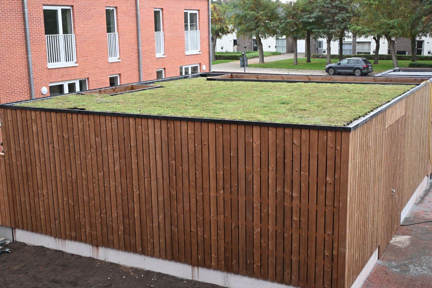 Sedum tiles