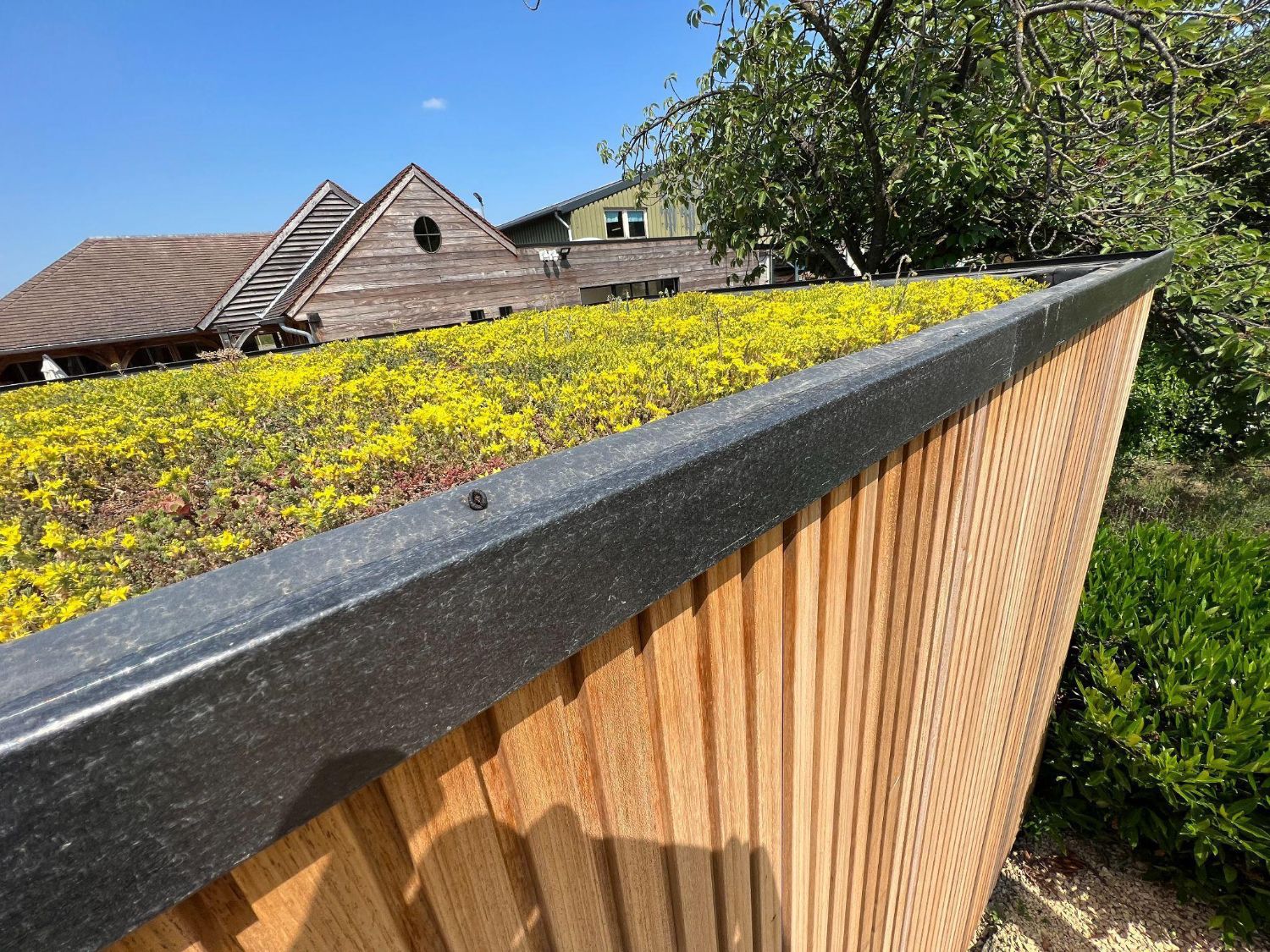 Layered sedum roof