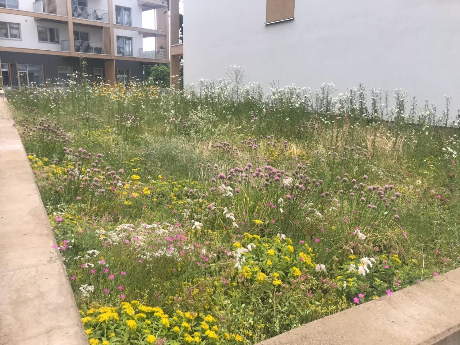 Biodiverse layered roof